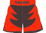 VALOR Clothing - Everything $20